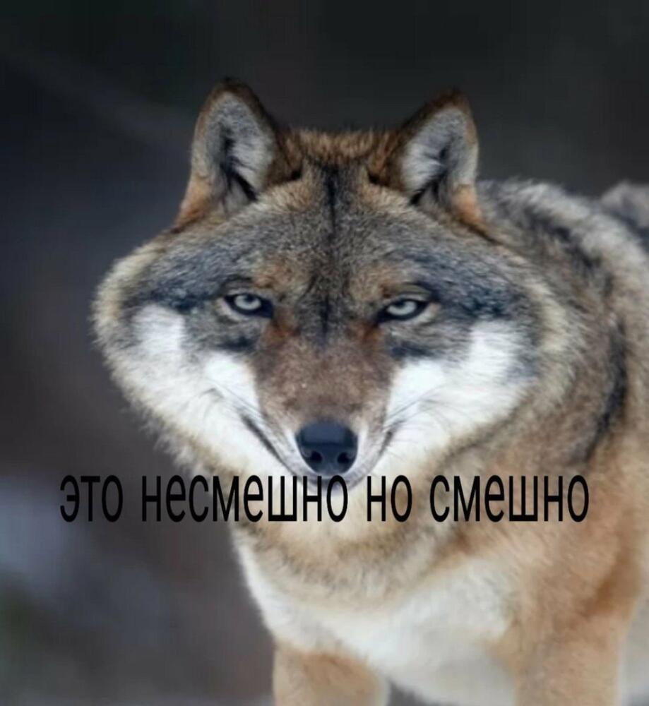 QrV4mwe4xzw.jpg.jpeg