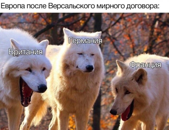 ufHMiK6k5MI.jpg.jpeg