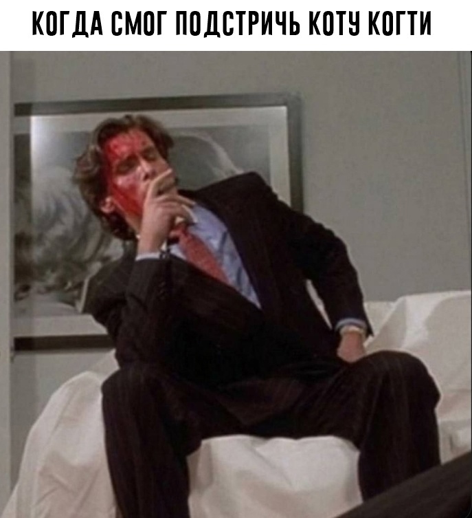 zYkBmJHjv2s.jpg.jpeg