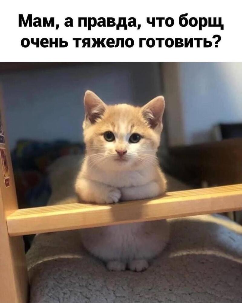 %D0%B4%D0%BB%D0%B8%D0%BD%D0%BD%D0%BE%D0%BF%D0%BE%D1%81%D1%82-%D0%91%D0%BE%D1%80%D1%89-%D0%B5%D0%B4%D0%B0-%D0%BF%D0%B5%D1%81%D0%B.jpeg