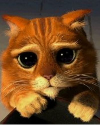 04612456bad72760d6fc9e40cdcad4ee_cd690414736dad278e377228114c8166_138482859097_800px.jpg.jpeg