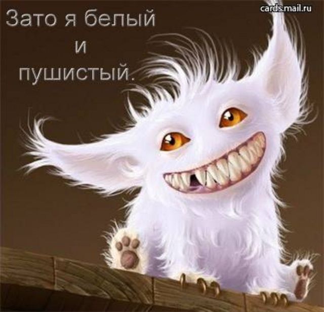 1666520546.jpg.jpeg