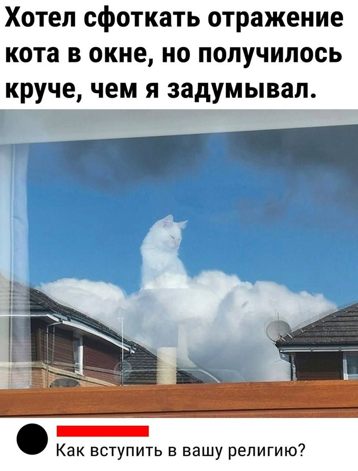 1698039713139069073.jpg.jpeg