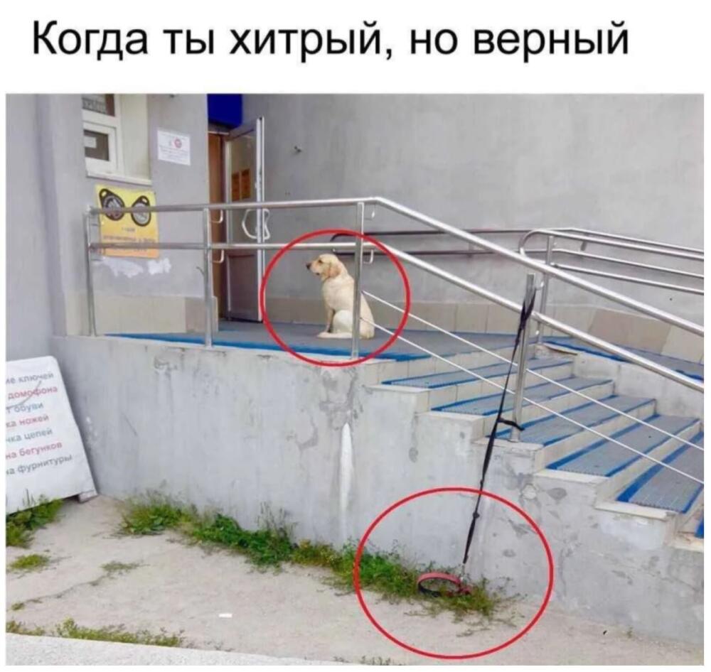 1701074288133684666.jpg.jpeg