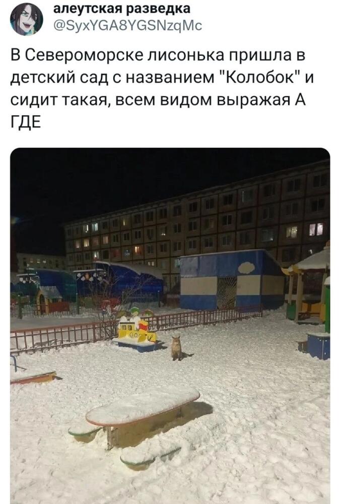 1703180922111688397.jpg.jpeg