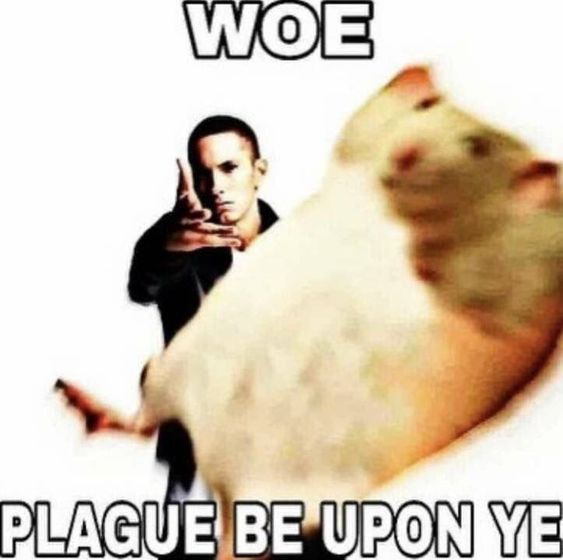 3e5d6d56de7dde21763b09415561f3ba.jpg.jpeg