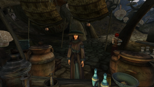 Подробнее о "Properly clothed NPCS"