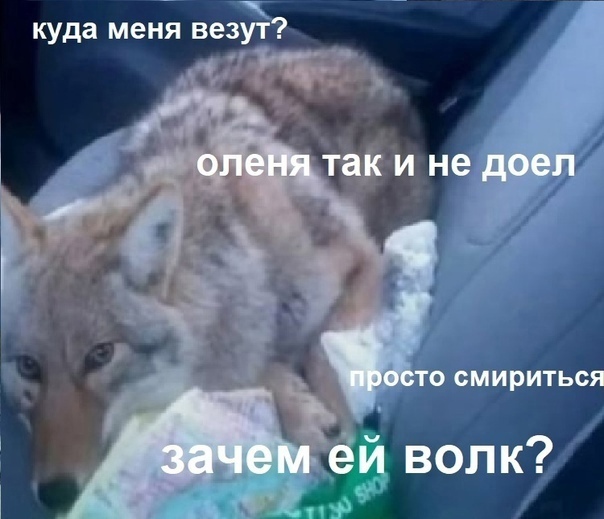 5fn7-EwmZI0.jpg.jpeg