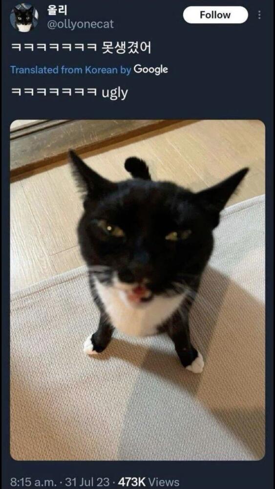 93e4aa2e4a2ae512302d16f2cce06c3d.jpg.jpeg