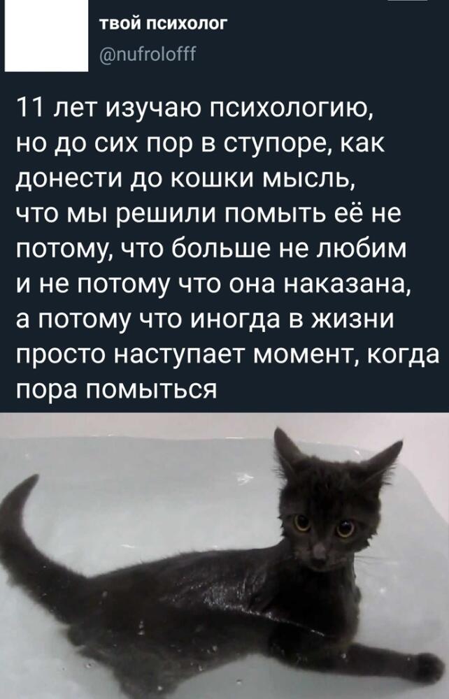auhM_uMiVhg.jpg.jpeg