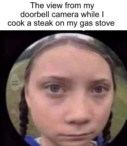 babb71f2aa12f8e53c9f466f4830d8a09c503b0e_2_436x500.jpeg