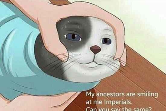BySEg3kLgR4.jpg.jpeg