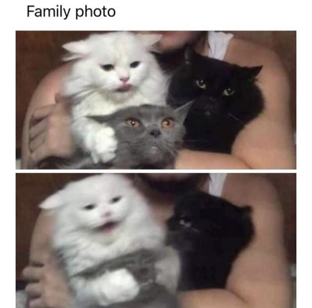 -cLamPGe52s.jpg.jpeg