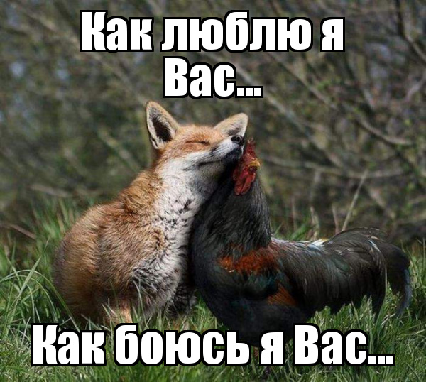 demotivatorium_ru_kak_lublu_ja_vas_113633.jpg.jpeg