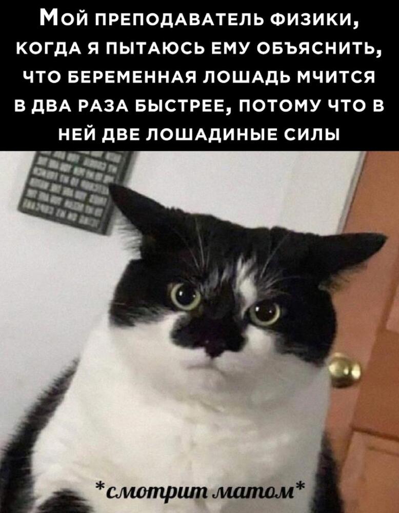 FksPhcJSLXQ.jpg.jpeg