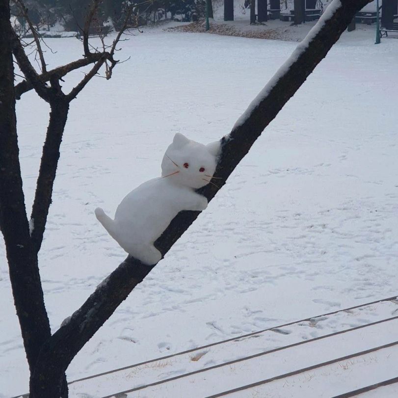 %D0%BA%D0%BE%D1%82%D1%8D-%D0%BA%D0%B0%D1%80%D1%82%D0%B8%D0%BD%D0%BA%D0%B8-%D0%BC%D0%B8%D0%BB%D0%BE%D1%82%D0%B0-8232590.png.png