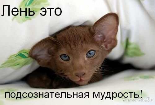 pre_1388764256__1244432560_s3img_13755849_1005_1.jpg.jpeg