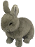 pre_1501115102___.png.webp.png
