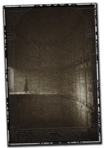 pre_1547119532__.png.webp.png