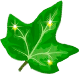 pre_1647552255___22.png.webp.png