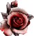 pre_1683338043__2.png.webp.png