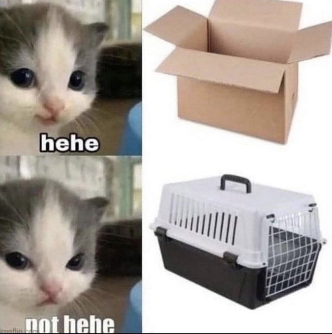 q2OmBYsJYB4.jpg.jpeg
