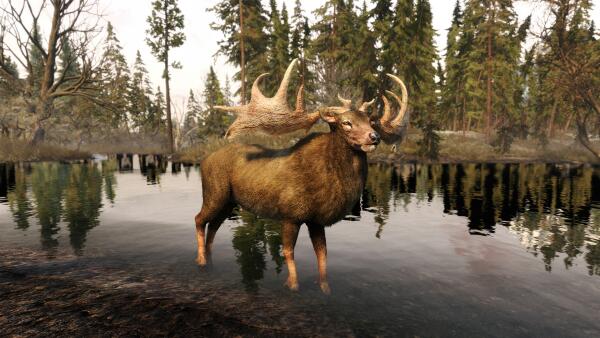 Skyrim