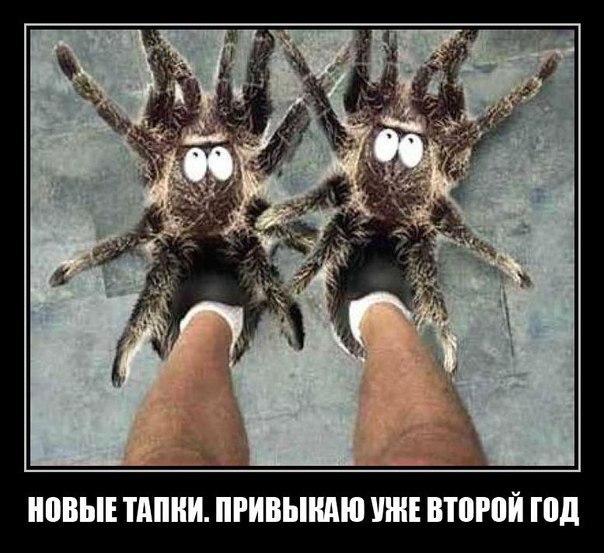 тапки.jpg.jpeg