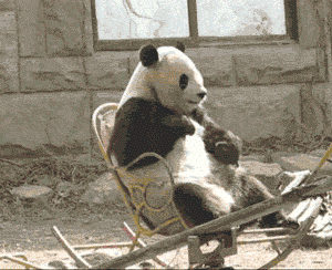 tumblr_24a9b745db40b6c5b219e716d1f68fbc_1824d417_400.gif