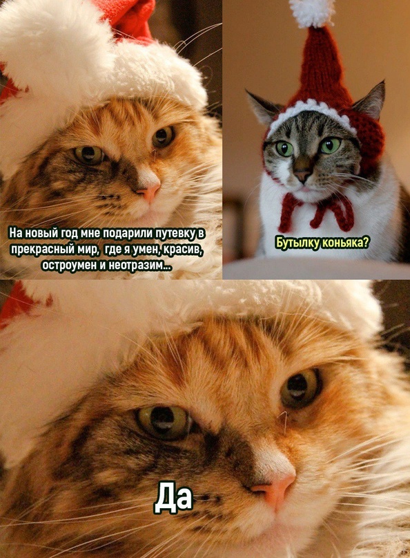 WV-qpVg2Mps.jpg