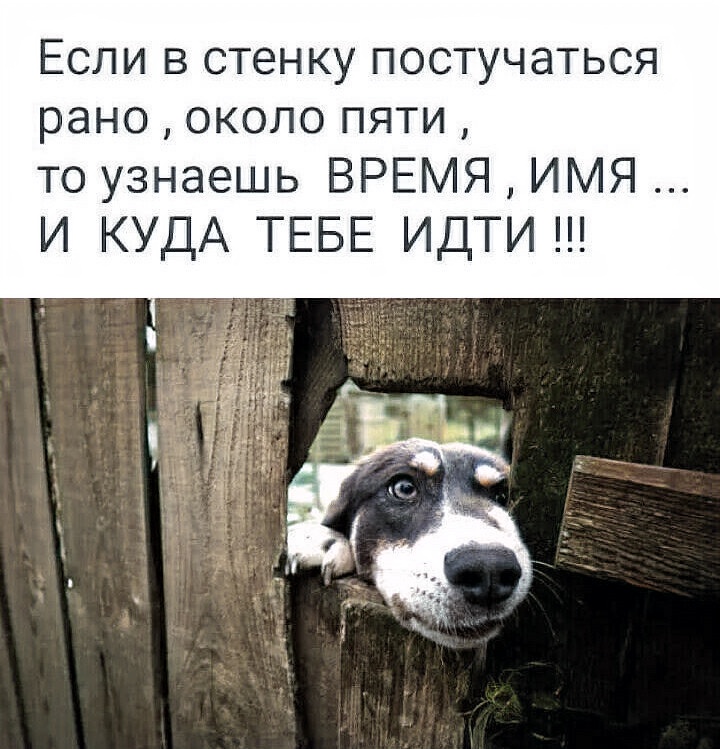 FWb8SBFwIBU.jpg.jpg