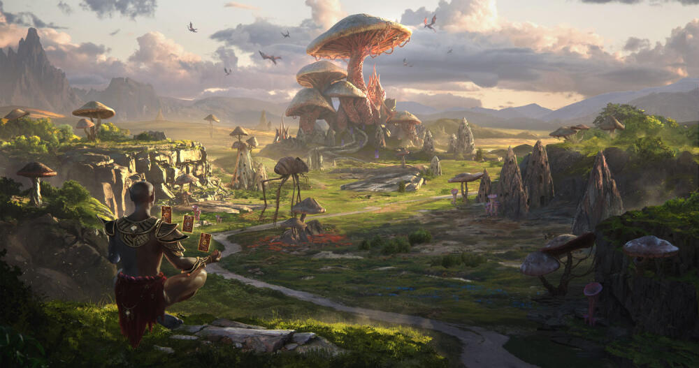 5ca6ac383825053b71236ed9_WestStudio-ElderScrollsLegends-01.jpg