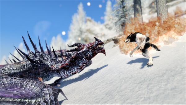 Skyrim