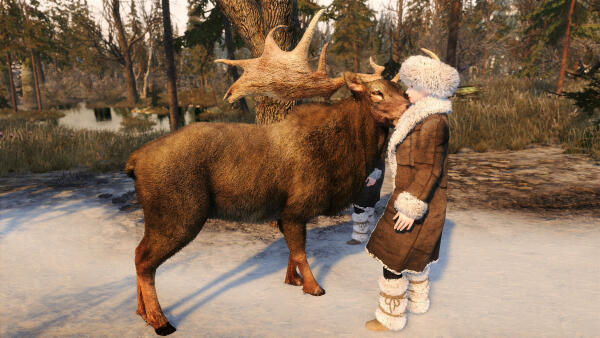 Skyrim