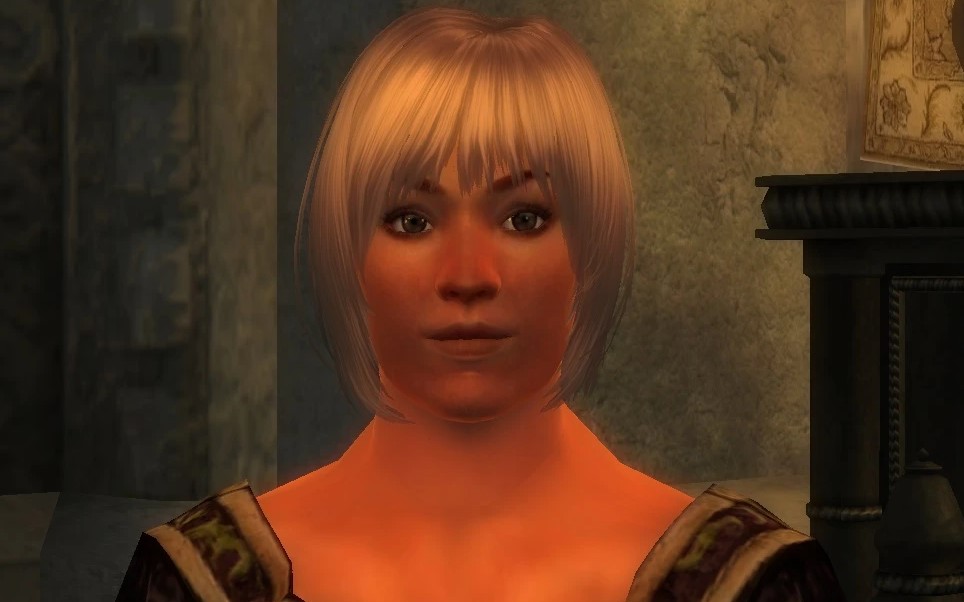 Oblivion Character Overhaul by Guinefort1