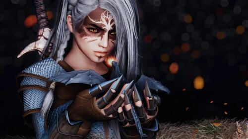 Подробнее о "Obi's Wyrm Slayer Armor LE"