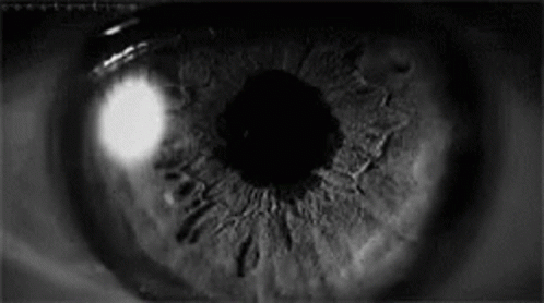 eyes-irises.gif