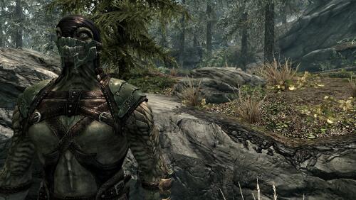 Подробнее о "Mortal Kombat X (Reptile)"