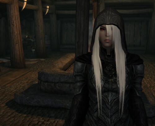 Подробнее о "Ranger's Cape - Skyrim SE(AE)"