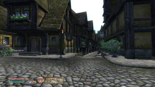 Подробнее о "New City_Leyawiin"