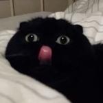 Whisperer_J