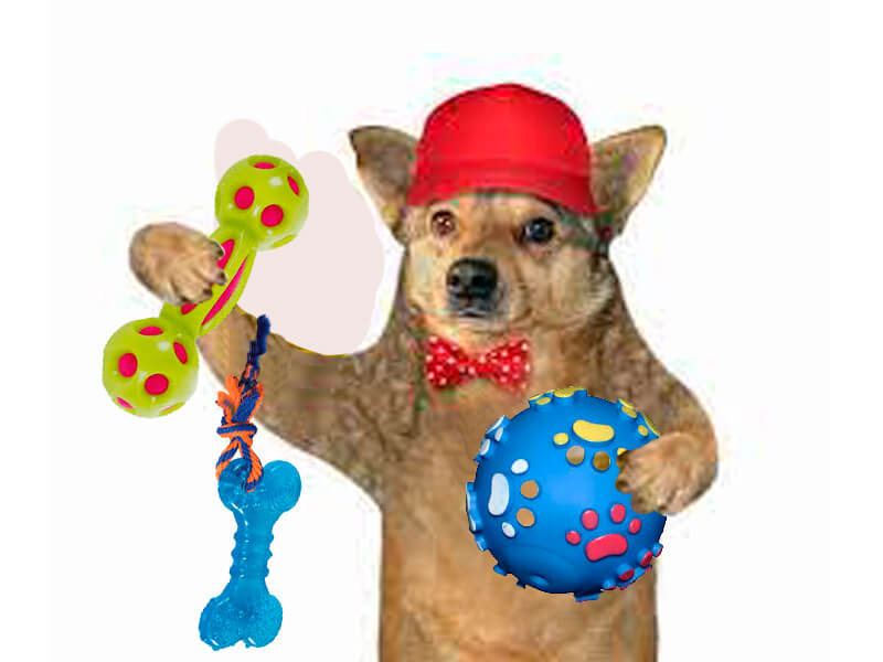 Пивопёс Игра.jpg