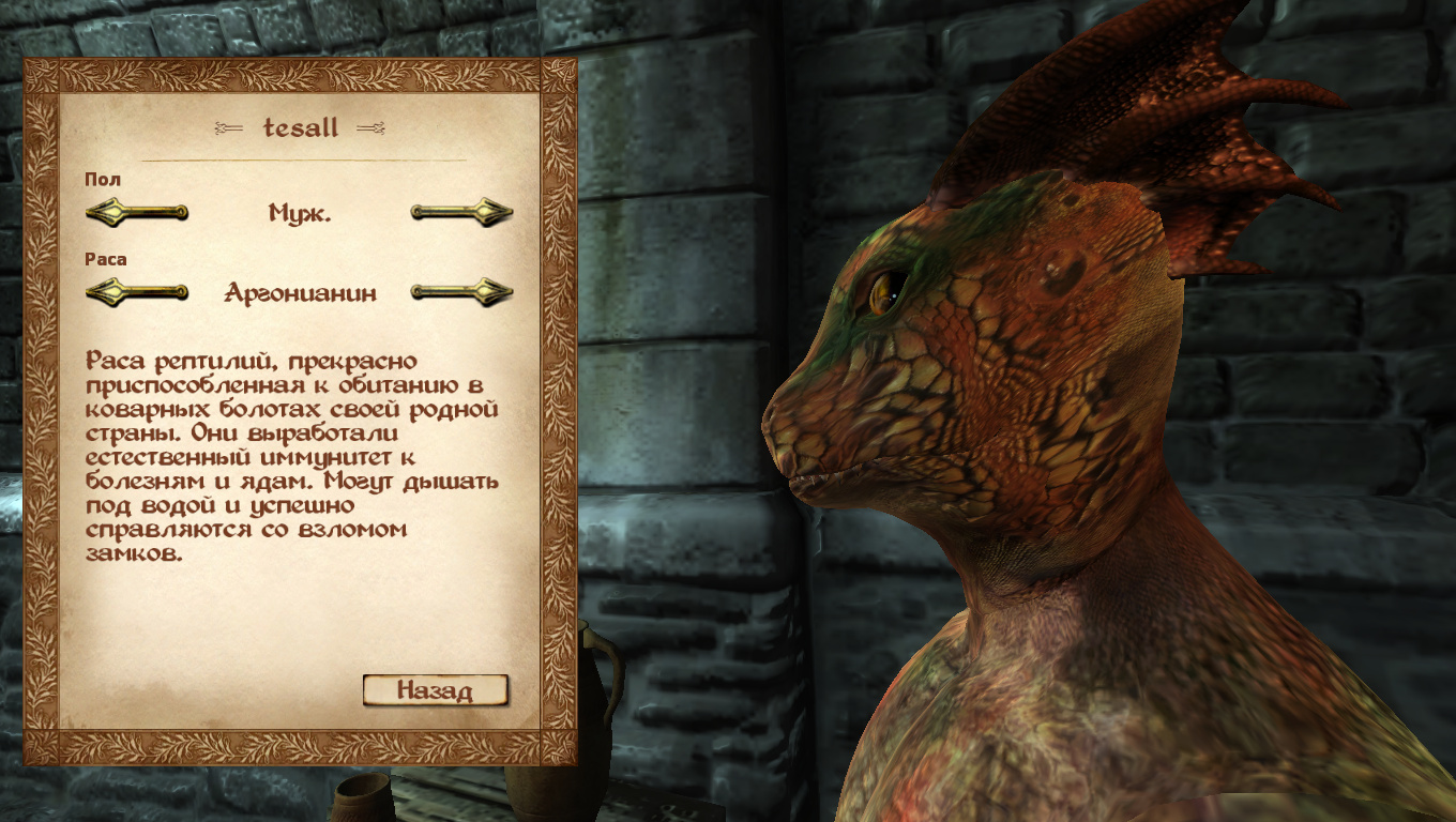 Oblivion Character Overhaul v203 Rus + SR OCOv15aRus (Все в Одном)