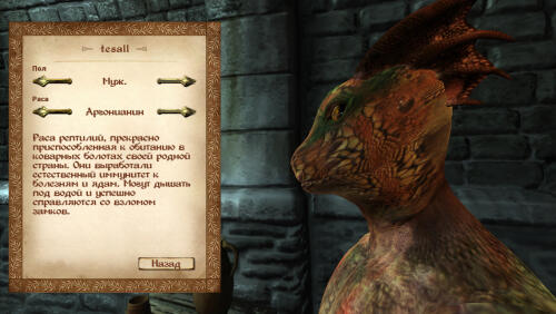 Подробнее о "Oblivion Character Overhaul v203 Rus + SR OCOv15aRus (Все в Одном)"