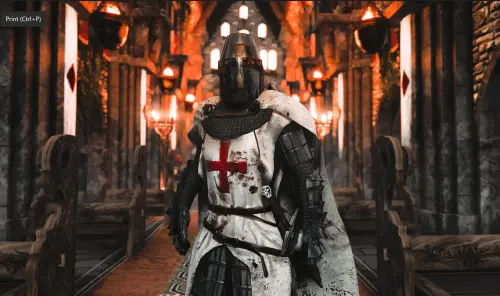 Подробнее о "The Armor of the Order"
