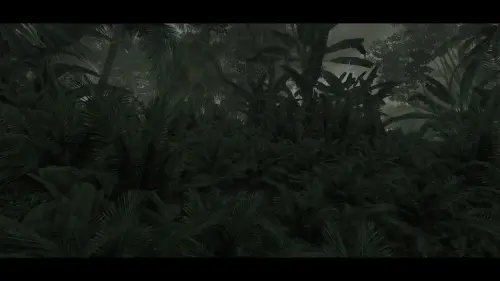 Подробнее о "Blackwood Jungle"