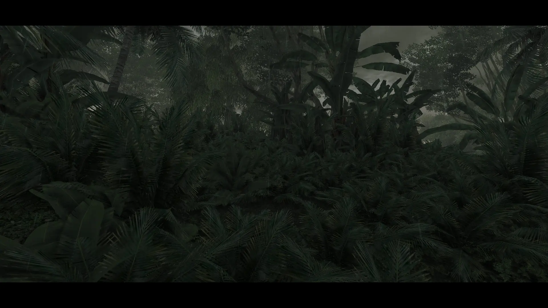 Blackwood Jungle
