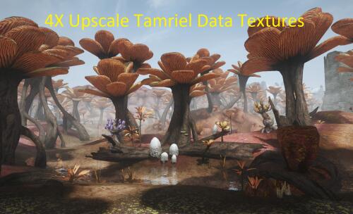 Подробнее о "4X Upscale Tamriel Data Textures"