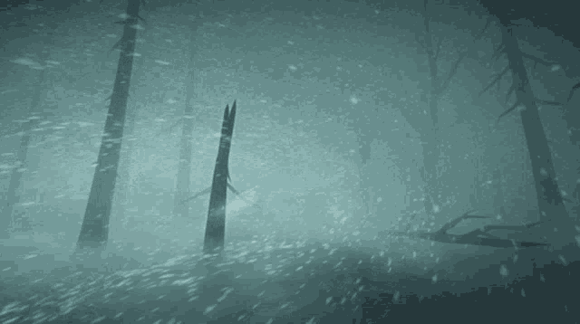 blizzard-snow.gif