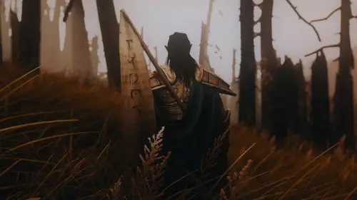 Подробнее о "Armors of the Velothi Pt. II"